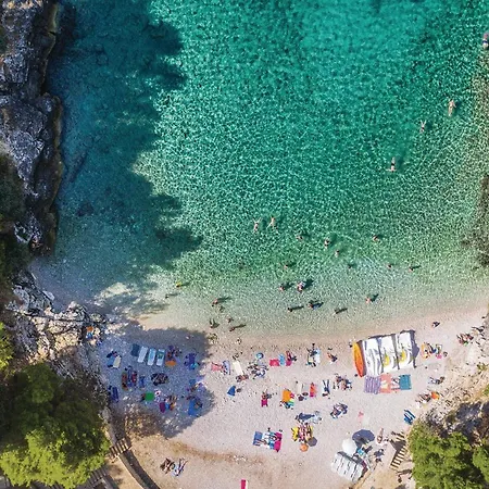 Cozy In With Wifi Апартаменти