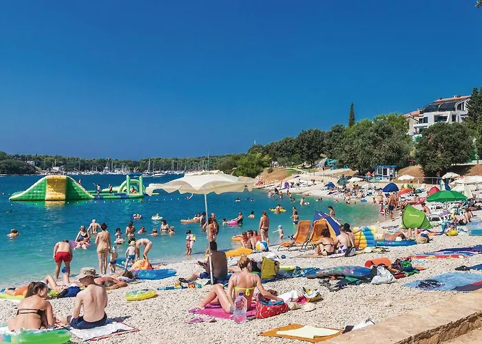 Cozy In With Wifi * Póla