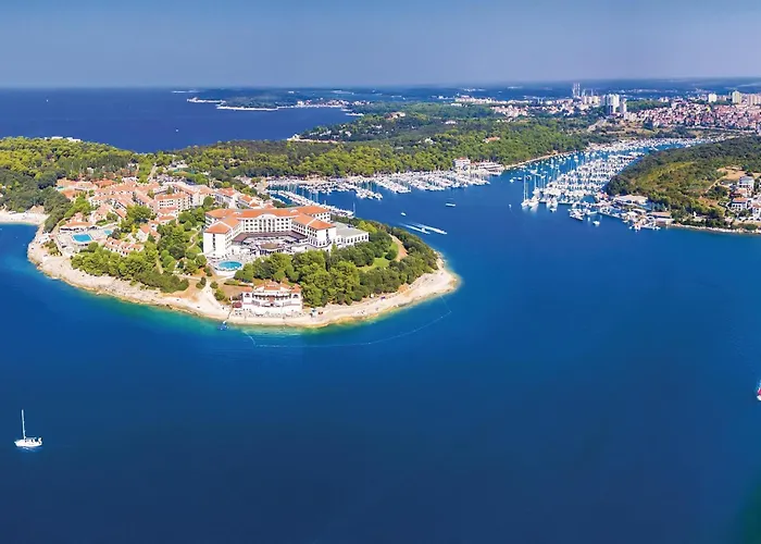 Cozy In With Wifi * Póla